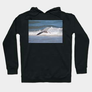 Taking Flight Hoodie